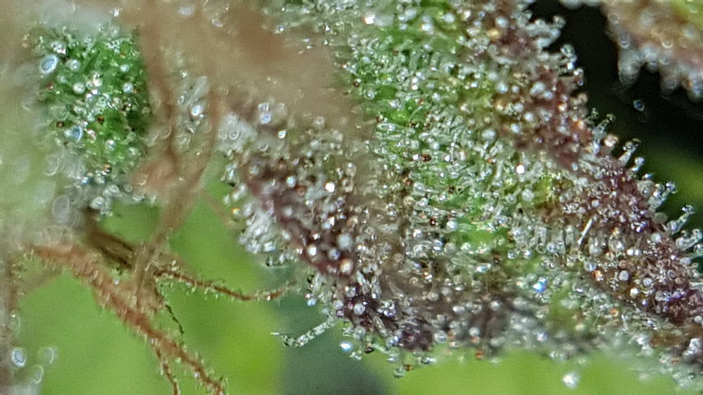 20191201_105111.jpg