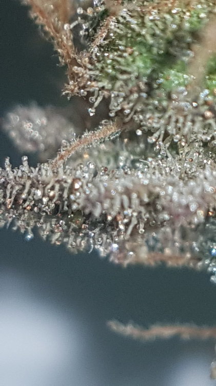20191204_003211.jpg