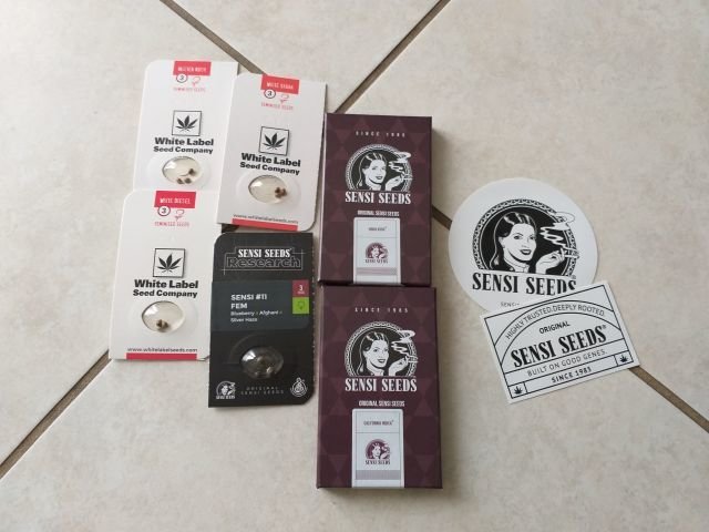 20191204_113535.jpg.5b7469fc2e39d3d091c67fb515164676.jpg