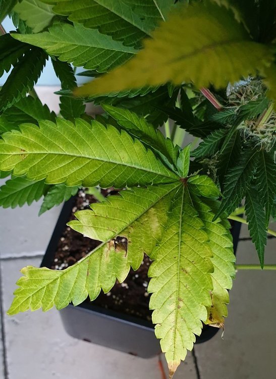 20191214_133921.jpg