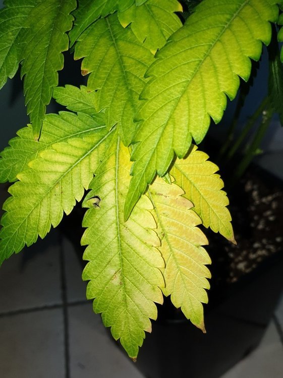 20191214_134020.jpg