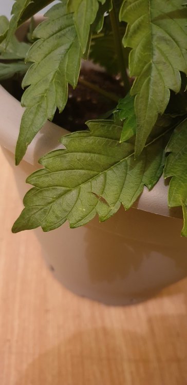 20191217_212908.jpg