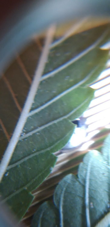 20191218_175126.jpg