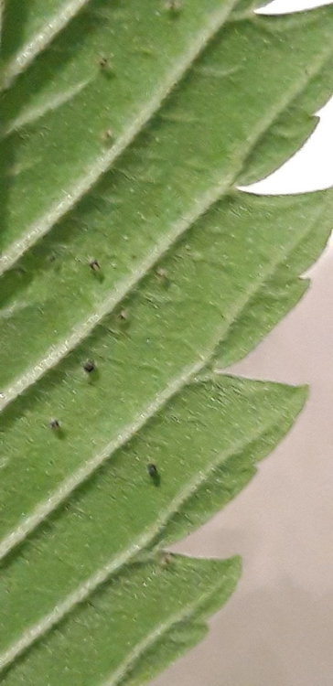20191222_182431.jpg