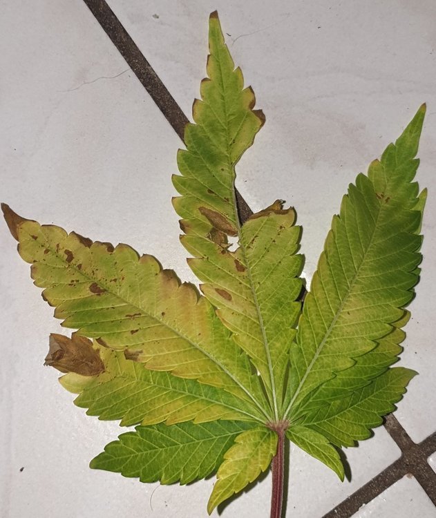20191227_104227.jpg