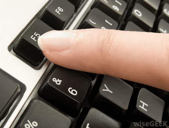 FlashyVariableIvorybilledwoodpecker-max-1mb.gif.00eb81a62690d71702b668545b55a78c.gif