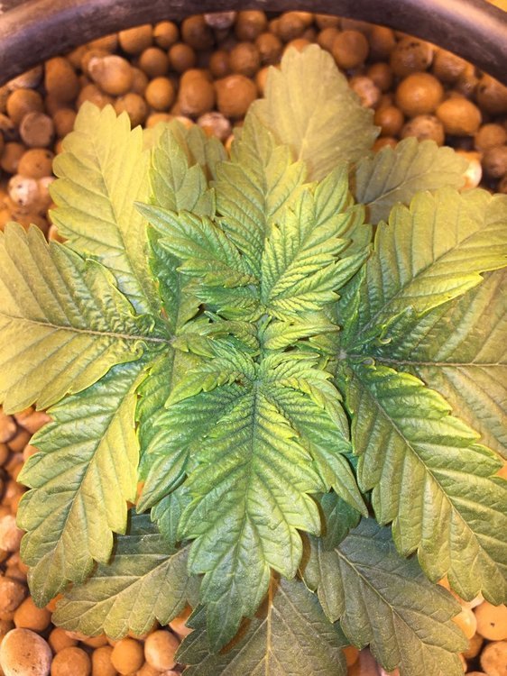 IMG_0209.JPG