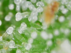 191002_215653.jpg