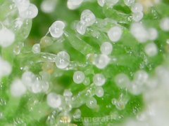 191002_215656.jpg