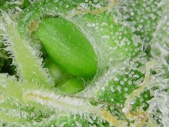 191005_150905.jpg