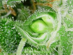 191005_151705.jpg