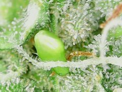 191005_151738.jpg
