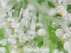 191013_204244.jpg