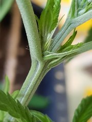 20180522_135609.jpg