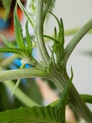 20180525_123405.jpg