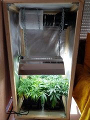20180629_190304.jpg