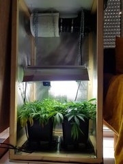 20180629_190316.jpg