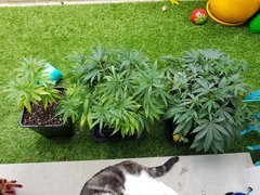 20180702_115743.jpg