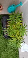 20180707_093153.jpg