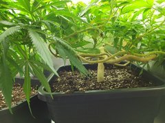 20180908_222023.jpg