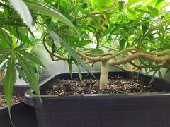 20180908_222030.jpg