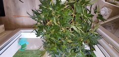 20180923_180832.jpg