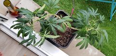 20180923_180909.jpg