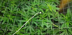 20181001_101645.jpg