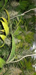 20181119_100841.jpg