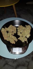 20181218_001734.jpg