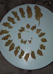 20181221_003107.jpg