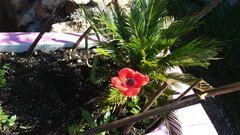 20190324_110213.jpg