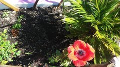 20190324_110225.jpg