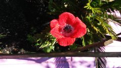20190324_110309.jpg