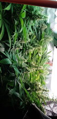 20190418_123645.jpg