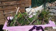 20190505_165732.jpg