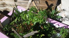 20190505_165745.jpg