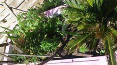 20190505_165756.jpg