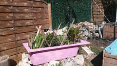 20190505_165818.jpg