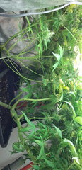 20190505_210833.jpg