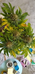 20190507_124921.jpg