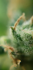 20190526_140520.jpg