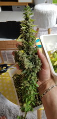 20190609_174842.jpg