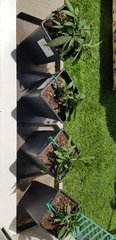 20190708_151348.jpg