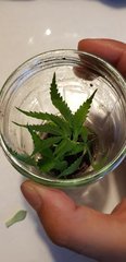 20190817_003027.jpg