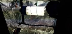20190826_204851.jpg
