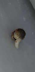 20190827_135639.jpg