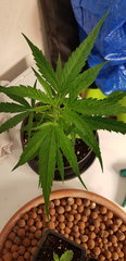20190918_223351.jpg