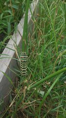 20191009_095638.jpg