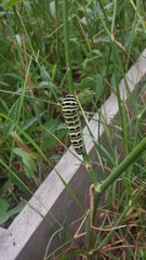 20191009_095650.jpg
